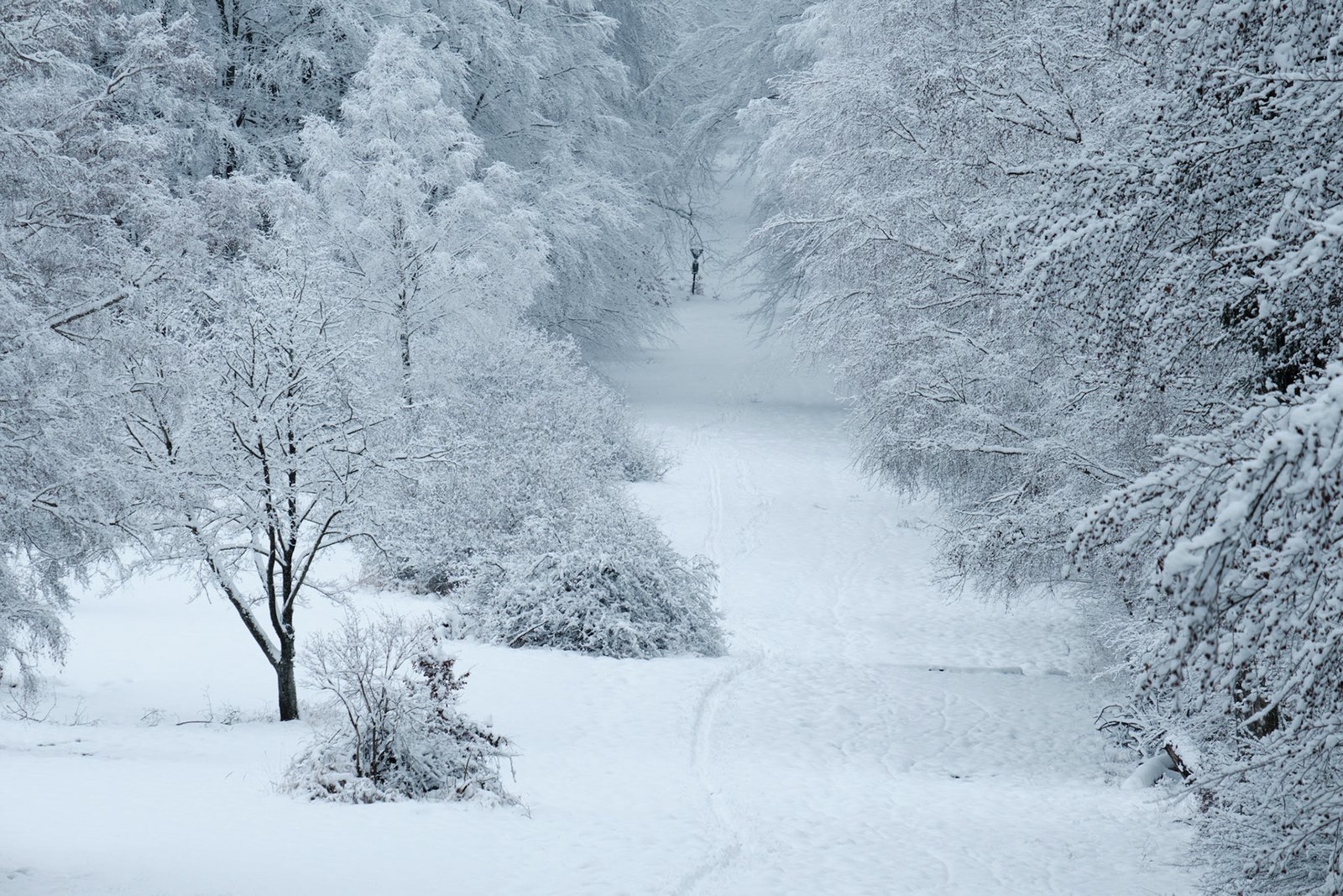 Taunus: Snowwalkers
