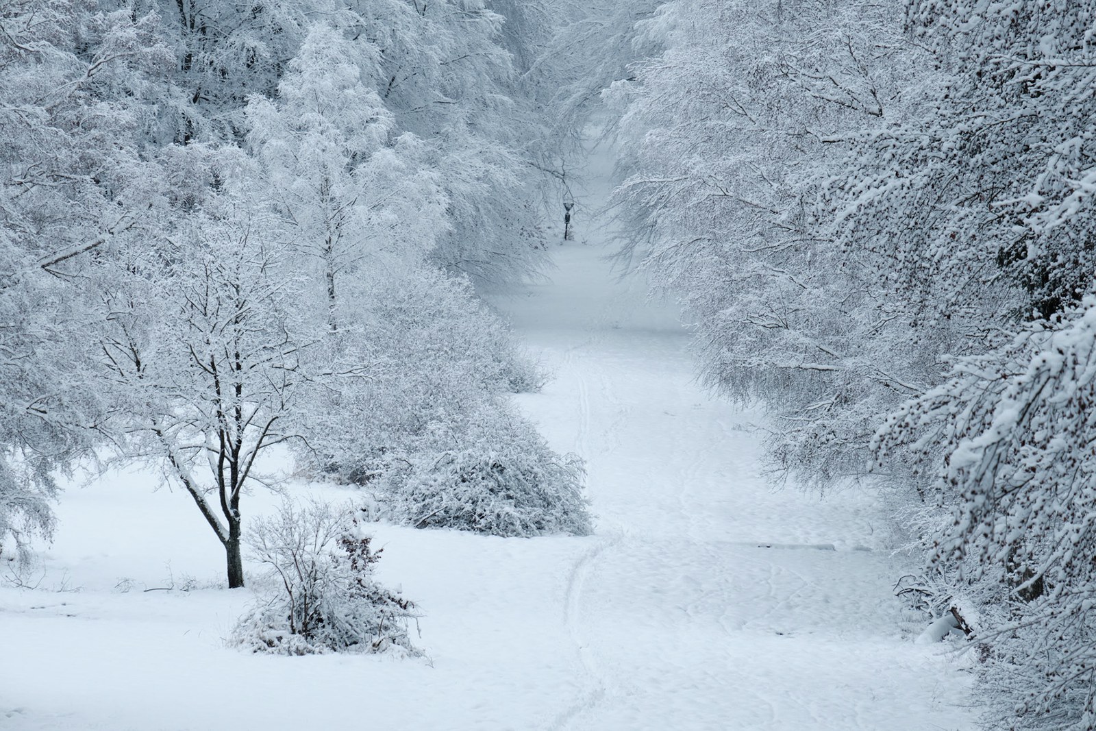 Taunus: Snowwalkers