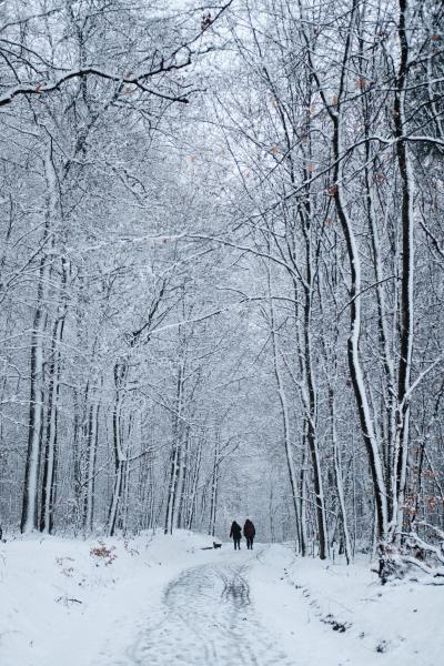 Taunus Snowwalkers